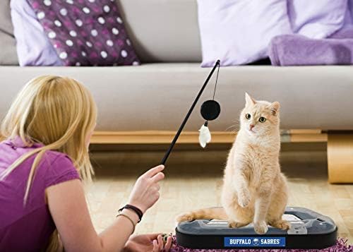 Pets First 5-in-1 NHL Buffalo Sabres Hockey Field Cat Scratcher Toy with Interactive Cat Ball Bell