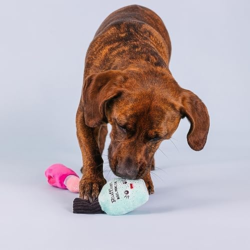 Fringe Studio Plush Dog Toy Set with Treat Pockets for Interactive Play, Wake Up and Make Up, 2 Piece Set, Pet Shop Collection (124010)