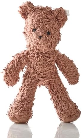 Pet Passion Plush Durable Cotton Dog Toys with Coconut Fill for All Pet Breeds, Bear, One Size