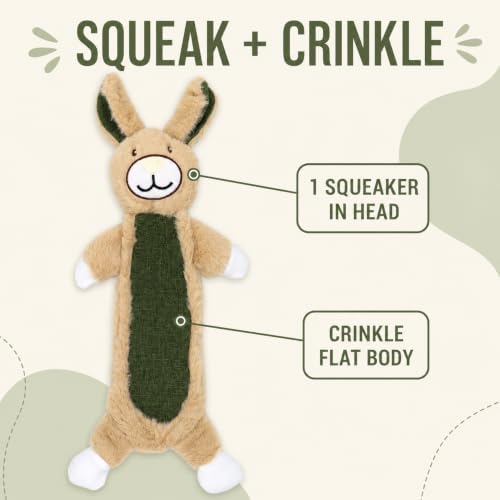 Rabbit Squeaky Plush Dog Toy with Crinkle for Puppies, Small/Medium Dogs