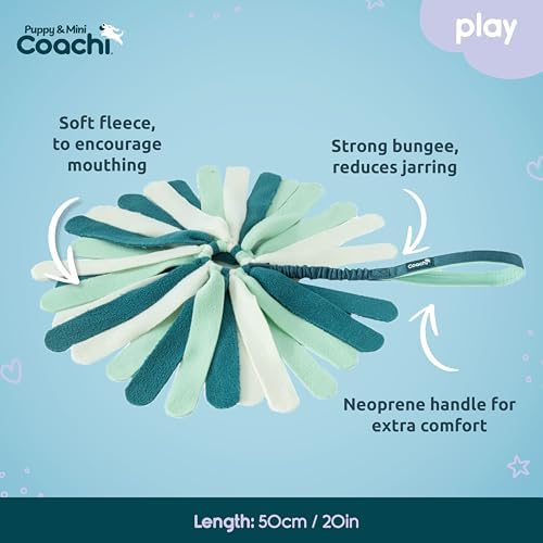 Coachi Puppy & Mini Tuggi Spider - Dog Toy for Tug of War & Play