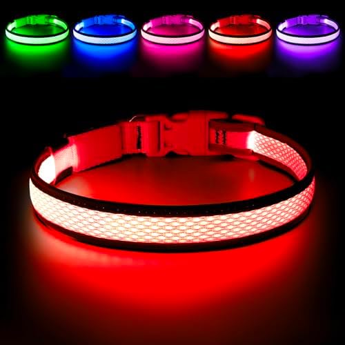 Flashseen LED Dog Collar, Light Up Dog Collar USB Rechargeable, Red, M