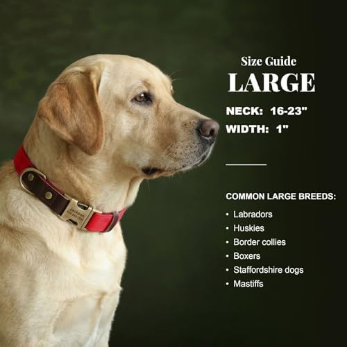 Personalized PU Leather Dog Collars, Quick Release Buckle, Red,L