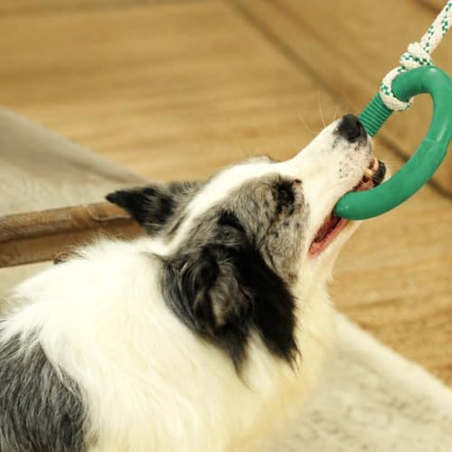 Green Sheep Natural Rubber Dog Chew Toy, Interactive Ring Rope Dog Toy for Tug of War, Durable Dog Toy with Recycled Cotton Rope for Medium to Large Dogs,Green