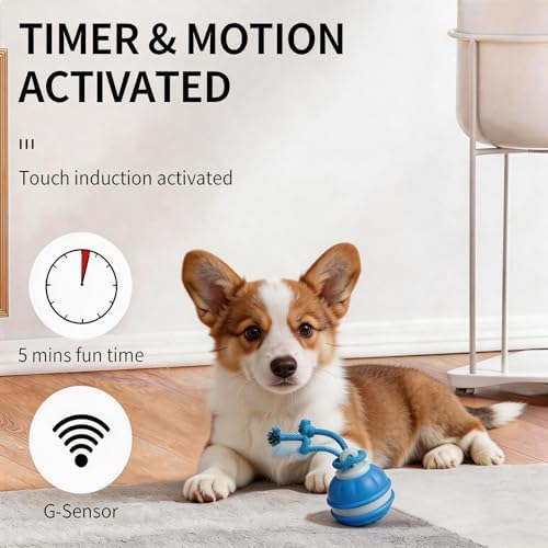 Interactive Dog Toy, Automatic Rolling Ball with Bird Sound, 3 Mode Pet Toy