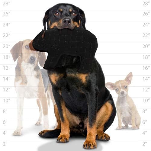 TUFFY® 2 Pack Bear Hippo Ultra Durable Plush Dog Toys