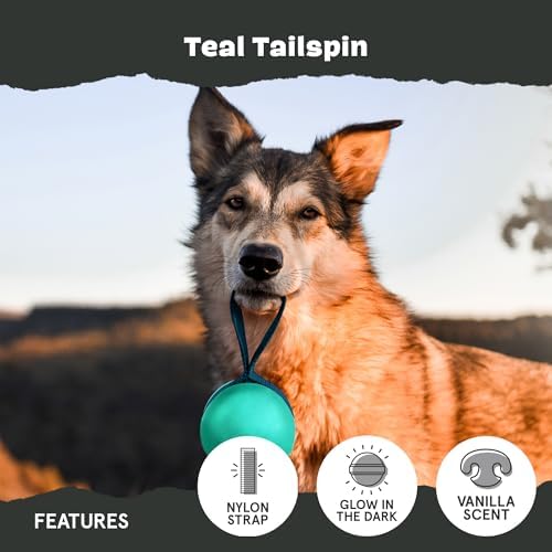 BarkBox Super Chewer Rope Dog Toy - Large