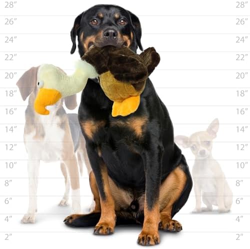 MIGHTY- Safari Vulture - Squeaker-Multiple Layers. Made Durable, Strong & Tough. Interactive Play Dog Toy (Tug, Toss & Fetch). Machine Washable & Floats