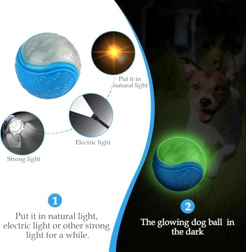 6Pcs Rubber Dog Balls, 2.5 Inch for All Breeds Dogs