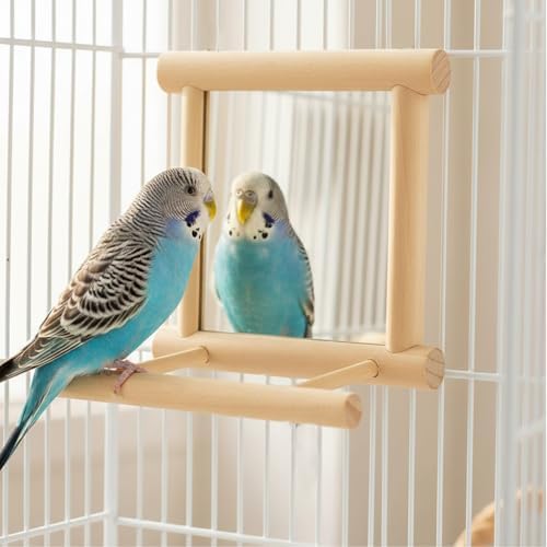 Hypeety Bird Mirror with Perch Parrot Swing Hanging Toy for Small Birds