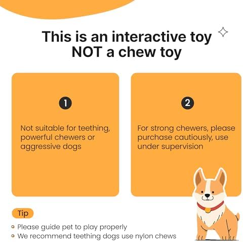 Potaroma Dog Ball with Rope Handle, Motion Activated Bouncing E-TPU Toy