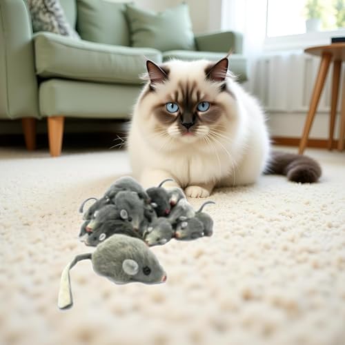5 Pcs Gray Fur Rattle Mouse Cat Toy Mice Animal Toy Pet Supplies Furry Play Combo - Cat Toy Mix
