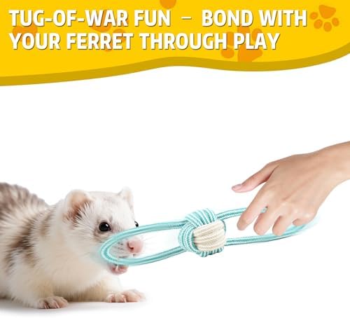 15 Pack Ferret Toys, Ferret Chew Toys, Interactive Toys with Bell Balls