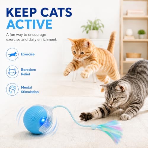 Interactive Cat Toy Ball with LED Lights – USB-C Rechargeable Automatic Feather Teaser for Indoor Cats & Kittens, Fun Chase & Exercise Toy