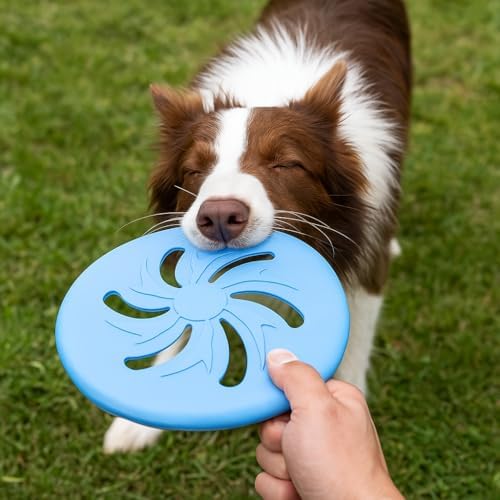 Dog Flying Disc Large EVA Material Pet Toy Outdoor Fetch Training Disc Durable Bite Resistant Safe on Teeth Lightweight Floating Interactive Disc (Green)