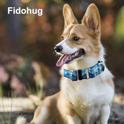 Martingale Collar for Dogs with Buckle Dog Collar Adjustable Soft Nylon Boy Dog Collars for Puppy Dogs, Blue Sunset