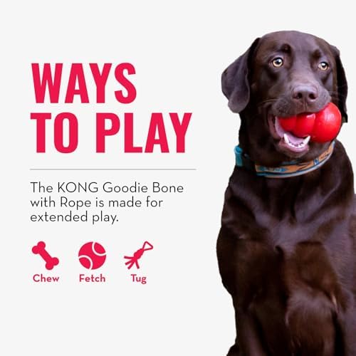 KONG Puppy Goodie Bone with Rope, Natural Rubber, for XS Puppies, Blue