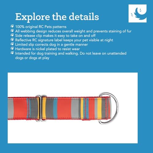RC Pets All Webbing Training Collar M Gemstone