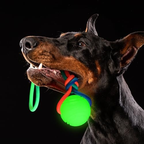 Hollowfly 2 Pcs Christmas Glow in Dark Dog Ball on Rope 2.36" Toy