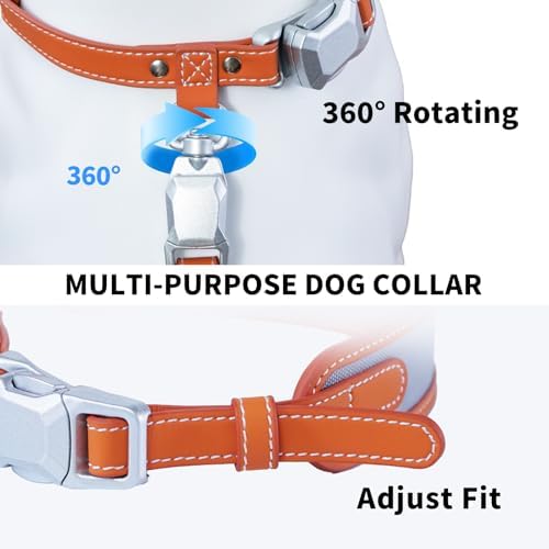 Magnetic Dog Collar and Leash Set with Quick Release Buckle, Easy On & Off Faux Leather Puppy Collar with 4FT Leash for Small, Medium Dog