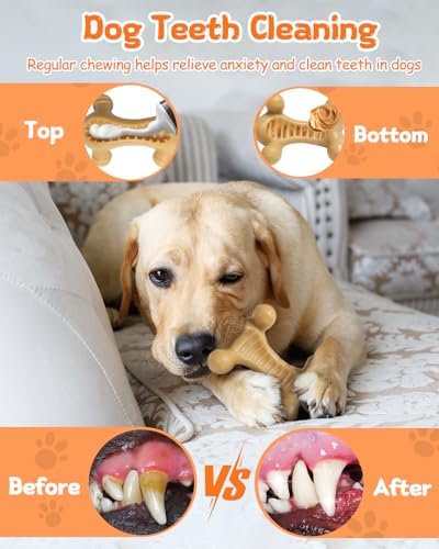 Dog Toys for Aggressive Chewers Large Medium Breed, Interactive Treat Dispenser Chew Toy to Keep Dogs Busy, Indestructible Durable Nylon Teething Bones