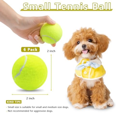 Magicorange Small Tennis Balls, 6 Pack 2 inch Squeaky Tennis Balls for Dog