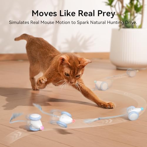 Cheerble Interactive Cat Toys for Indoor Cats, Automatic Moving Kitten Toys, Wicked Mouse Neo Cat Toy with Tail & Lights, Pet Cat Supplies, Rechargeable Cat Toys for Bored Indoor Adult Cats