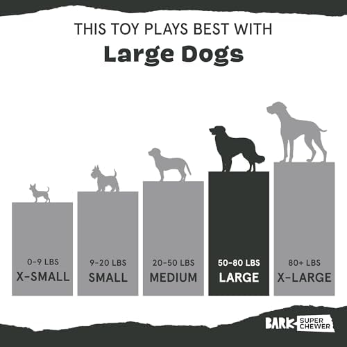 BarkBox Tipsy Toast Glass - for Medium to Large Dogs