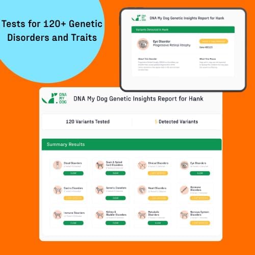 DNA My Dog Premium Dog DNA Test – Identify 350+ Breeds | Genetic Health & Trait Screening | Wolf DNA & Genetic Age | Easy At-Home Cheek Swab
