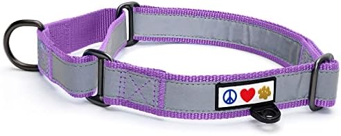 Pawtitas Personalized Dog Collar Martingale Dog Collar with Name Phone Number Reflective Martingale Dog Collar Customized Collar for Large Dogs | Orchid Custom Dog Collars for Large Dogs