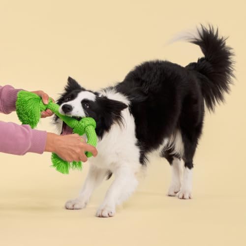 Playology Tug Rope Dog Toys for Large Dogs - Jumbo, Sweet Potato Scent