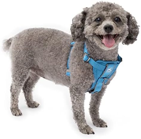 Kurgo Tru-Fit Smart Harness, Blue, Small