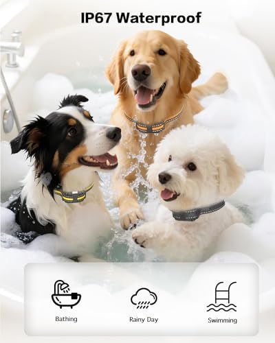 3 Pack Dog Training Collar – Remote Dog Shock Collars with Beep, Vibration and Safe Shock Modes, Rechargeable IP67 Waterproof E-Collars for Small, Medium & Large Dogs with LED Night Light