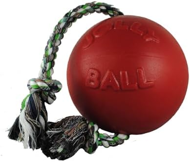 Jolly Pets Romp-N-Roll Rope & Ball Dog Toy, 4.5 in Small, Orange