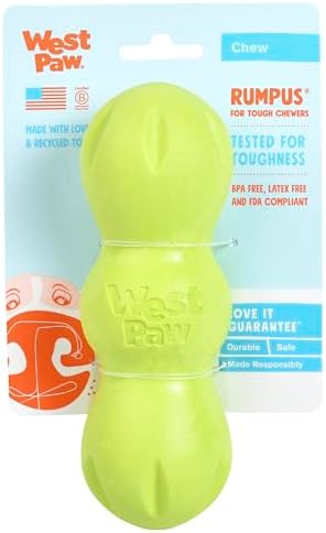 WEST PAW Zogoflex Rumpus Dog Chew Toy – Floatable Toy for Dogs, Aggressive Chewers – Puppy Chewing Toys for Catch, Fetch – Recyclable, Dishwasher-Safe, Medium 6.25", Granny Smith