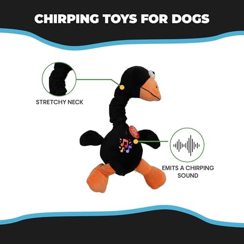 SPOT Chirpies Plush Dog Toy – Bird Sound Squeaky Toy for Small and Medium Dogs, Light to Moderate Chewers, Stretchy Bungee Neck, Recycled Stuffing – 14 in, Assorted Styles