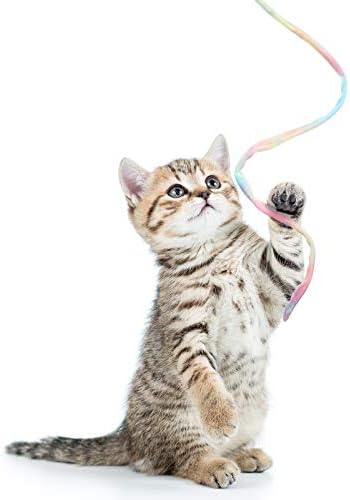 Sumind 3 Pieces Jungle Cat Wand Toys,Rainbow Color