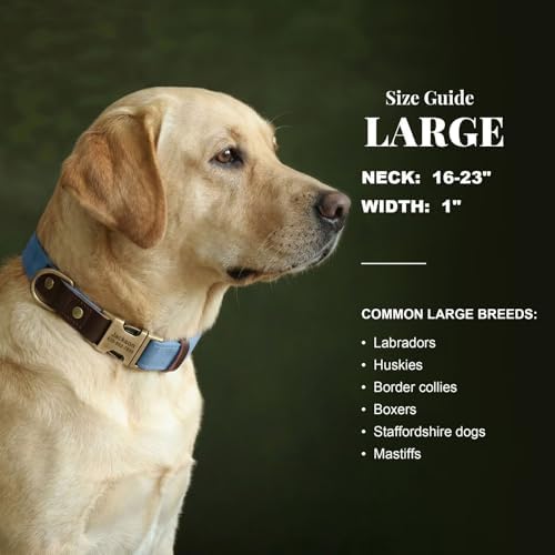 Personalized Dog Collars, Quick Release Buckle, Denim Blue,L