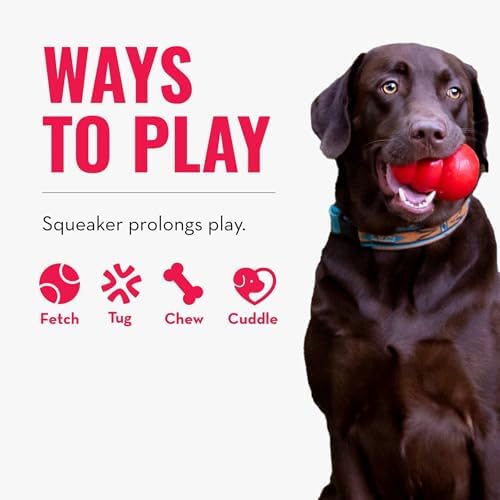 KONG Scrumplez Dog Toy - Soft Plush Squeaker Toy for Interactive Play, Stuffed with Extra-Squeaky Fun, Durable and Engaging for Dogs (Gray Koala)