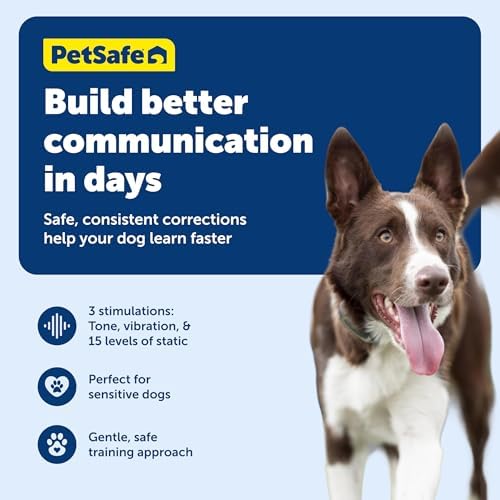 PetSafe 100 Yard Lite Remote Trainer, Rechargeable, Waterproof, Tone / Vibration / 15 Levels of Lighter Static Stimulation for Sensitive or Small Dogs 8 lb. and Up