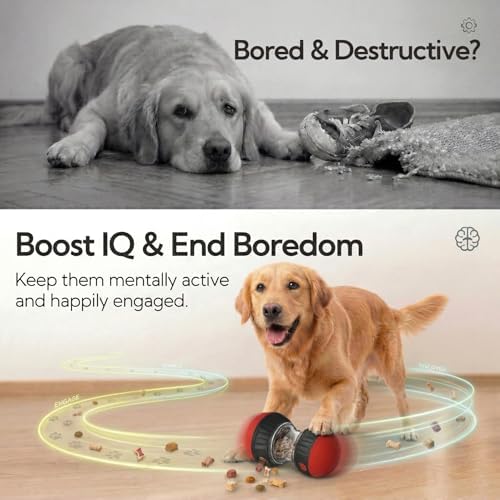 Interactive Dog Puzzle Treat Toys Enrichment Puppy Slow Feeder