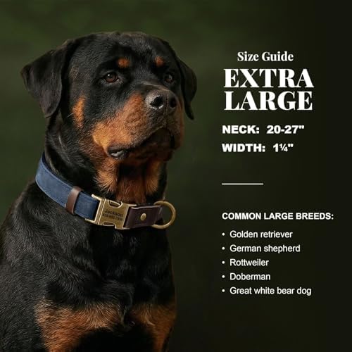 Personalized PU Leather Dog Collars, Quick Release Buckle,Blue,XL