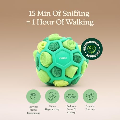 Reggie Snuffle Ball for Dogs | Interactive Treat Dispensing Dog Enrichment Toys | Reduces Boredom, Stress & Hyperactivity | Snuffle Toys for Dogs | Durable & Washable Dog Puzzle Toy I Green