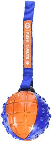 SPOT Ethical Pets Push to Mute Dog Toy, Ball with Strap