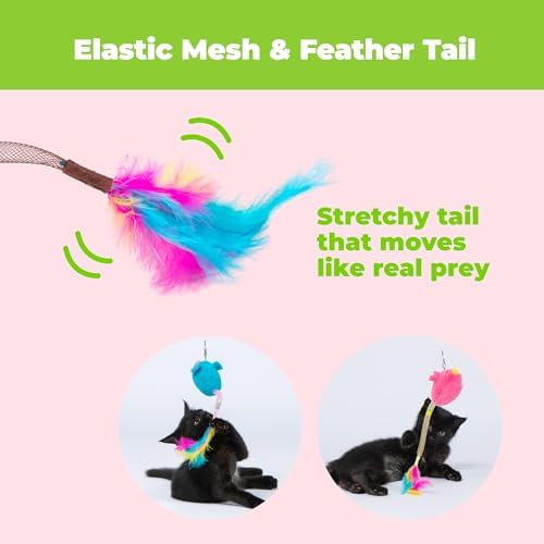 Catify Interactive Cat Toy - Squeaking Mice Set, Blue & Fuchsia