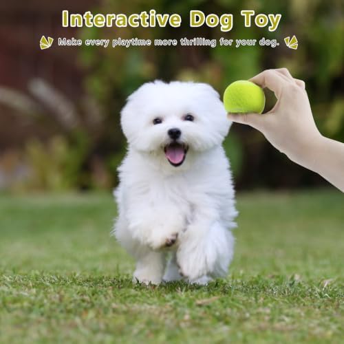Magicorange Small Tennis Balls, 12 Pack 2 inch Tennis Balls for Dogs
