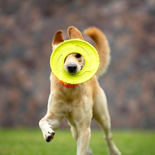 SKIPDAWG Dog Flying Disc Tug Toys 2 Pack, Light Fetch Toy for Outdoor Play
