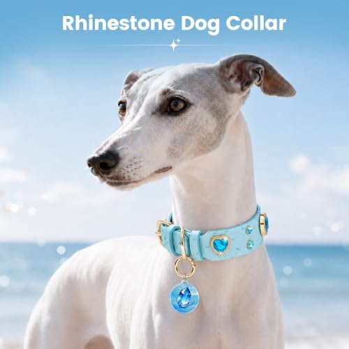 Rhinestone Dog Collar with QR ID Tag, Ostrich-Embossed, Blue, L | Crystal Dog Collar with Ostrich-Embossed Texture, Adjustable Waterproof Fit and QR Scan Pet ID for Stylish Daily Wear