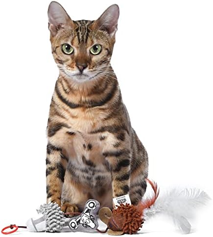 Star Wars for Pets The Mandalorian Plush Bouncy Cat Toy