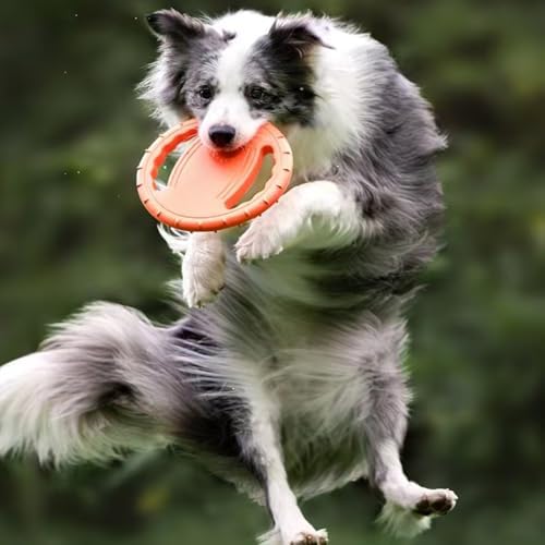 Dog Soft Flying Discs Interactive Training Toy (Green)